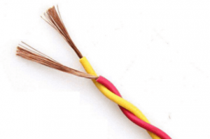 CAN BUS Cable